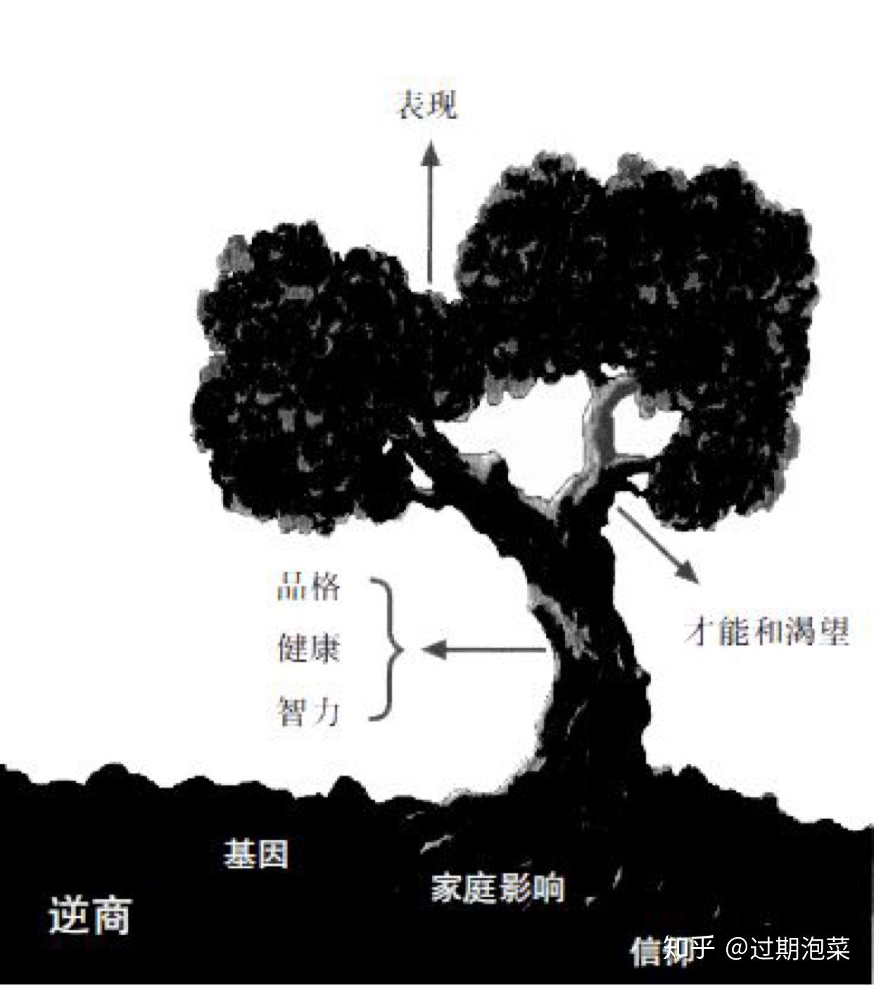 逆商是什么 _逆商是什么书-第2张图片-潮百科