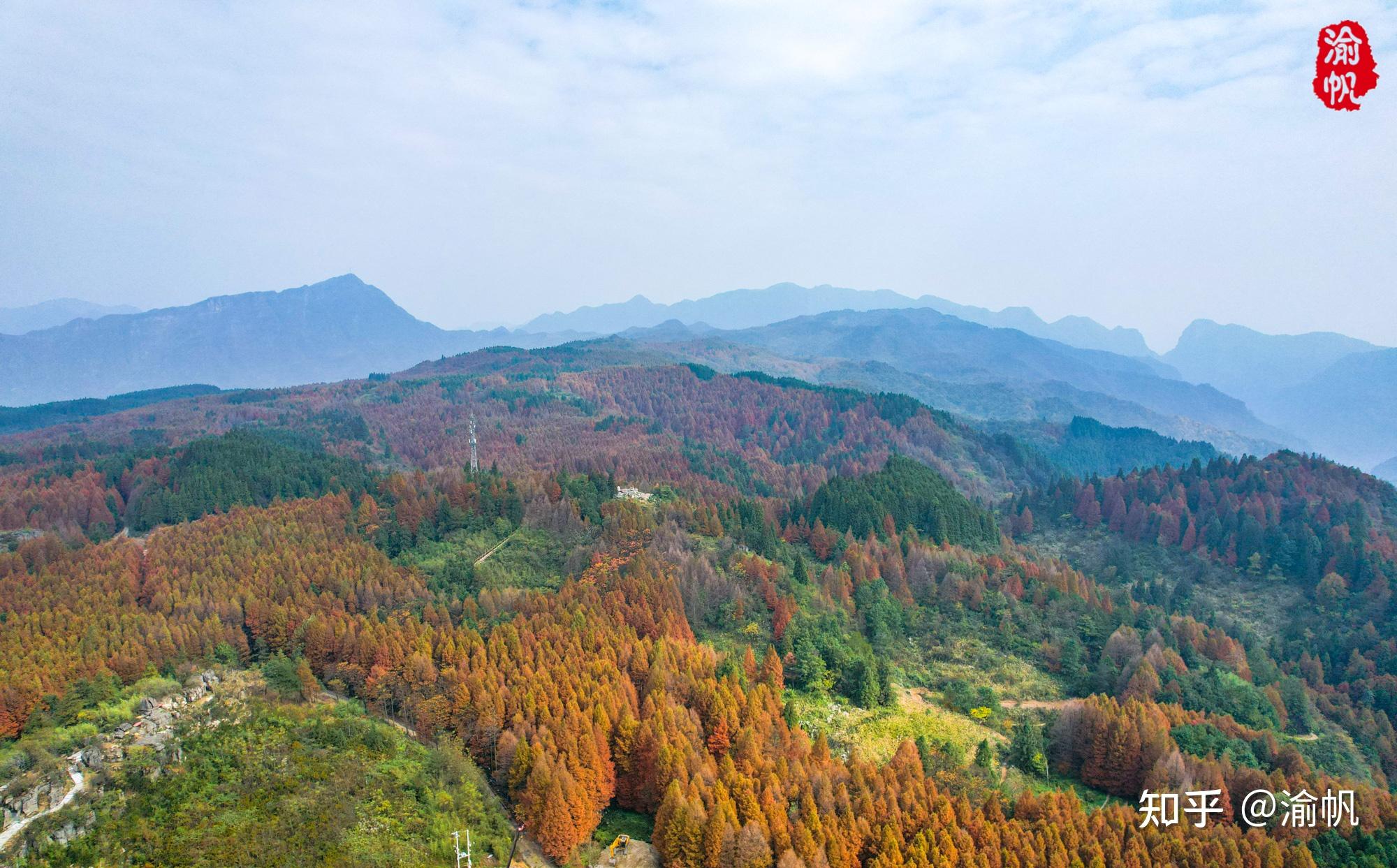 南川山王坪,欣賞真正的