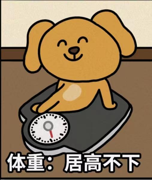 【大笨狗表情包】我的2022年度大总结 - 知乎