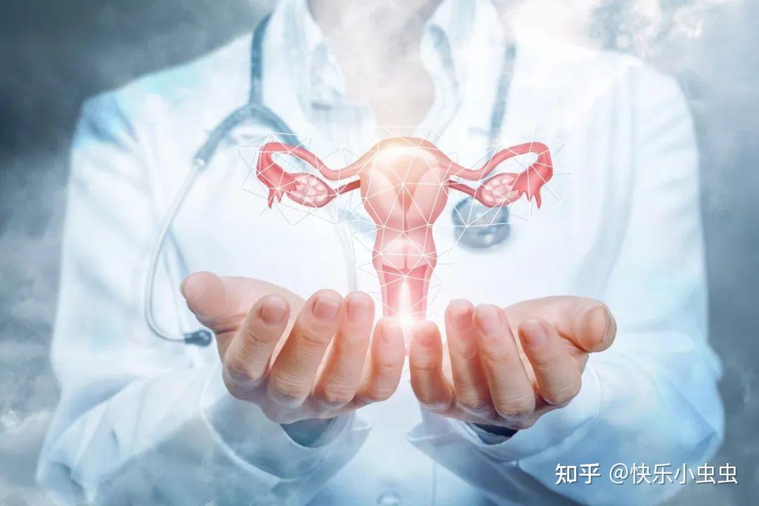 双子宫，能生双胞胎吗？ - 知乎