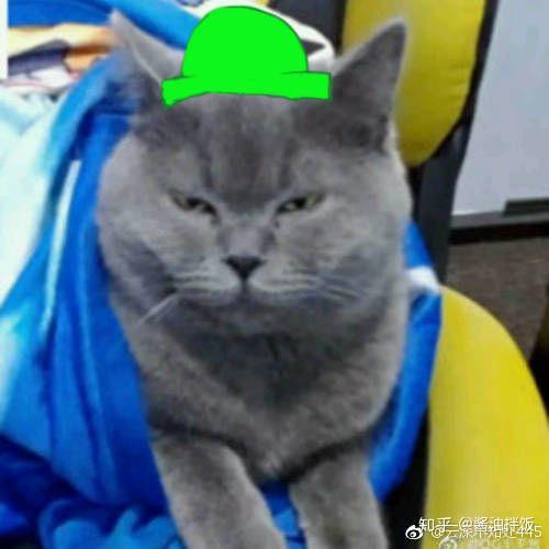 网传QGhappy的cat(猫神)与Yang(老杨)即将转会