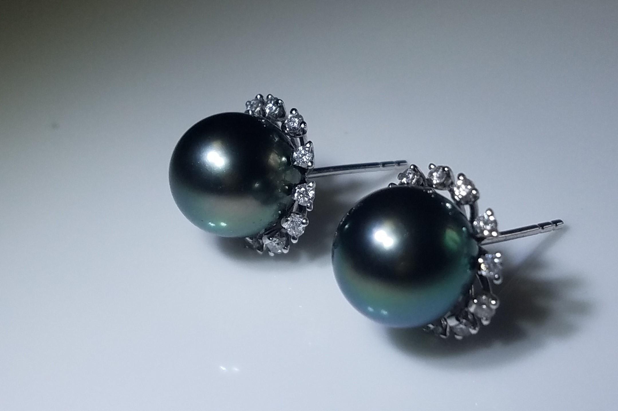 为什么叫黑珍珠 v2-781f847c39ac1dc1a6b5bcafa2d97fc8_r.jpg