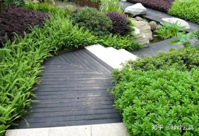 园林景观树木布置时需要注意哪些