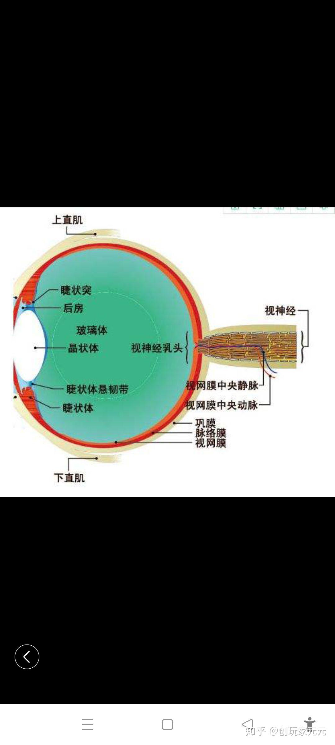 视神经炎(optic neuritis,on)是指穿出巩膜后的眶内段视神经,管内段视