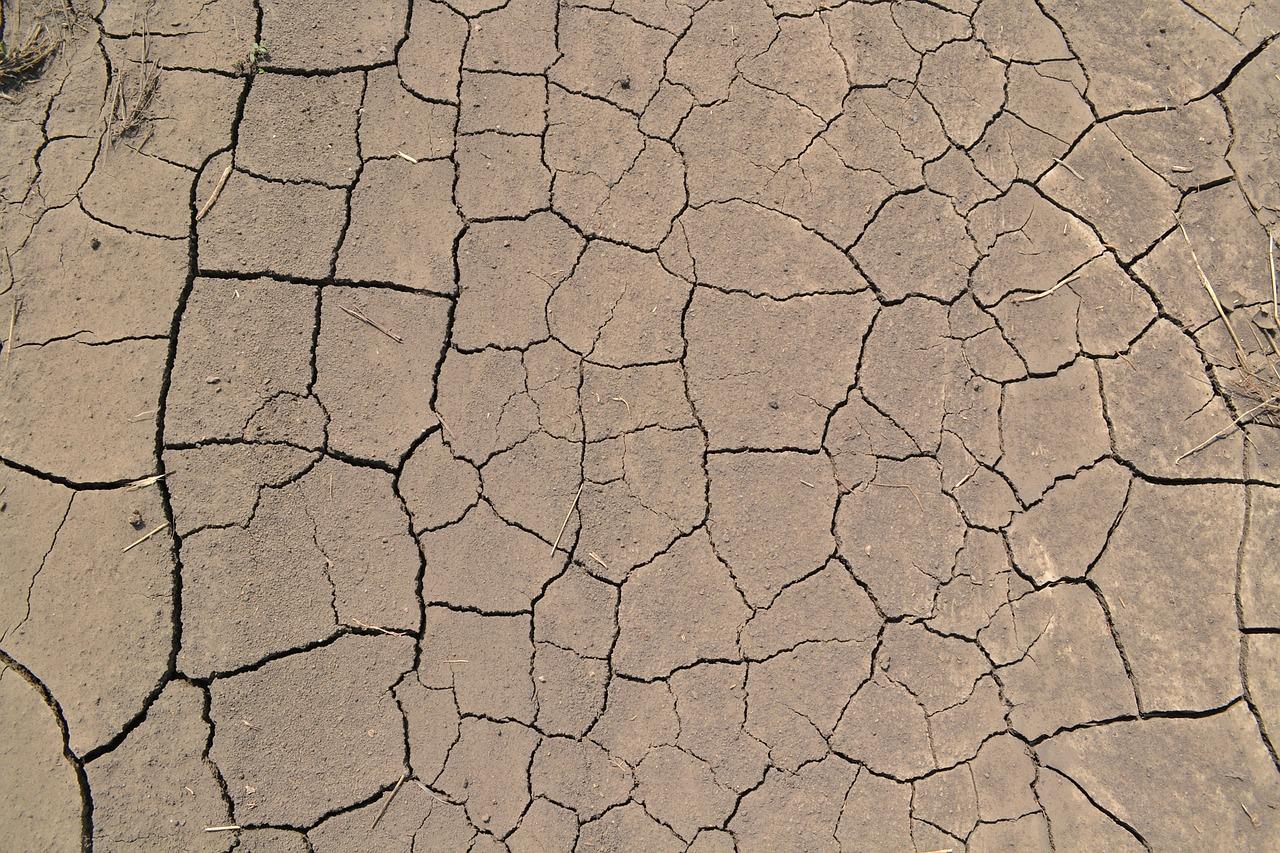 3. 松脂痕迹清理