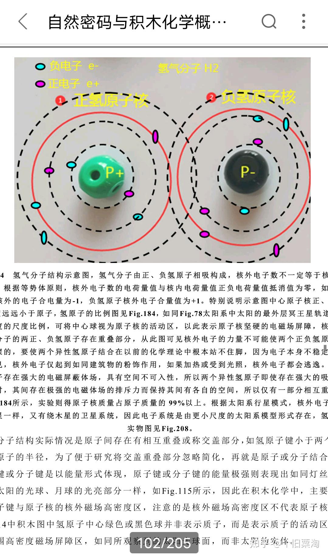 中子示意图图片