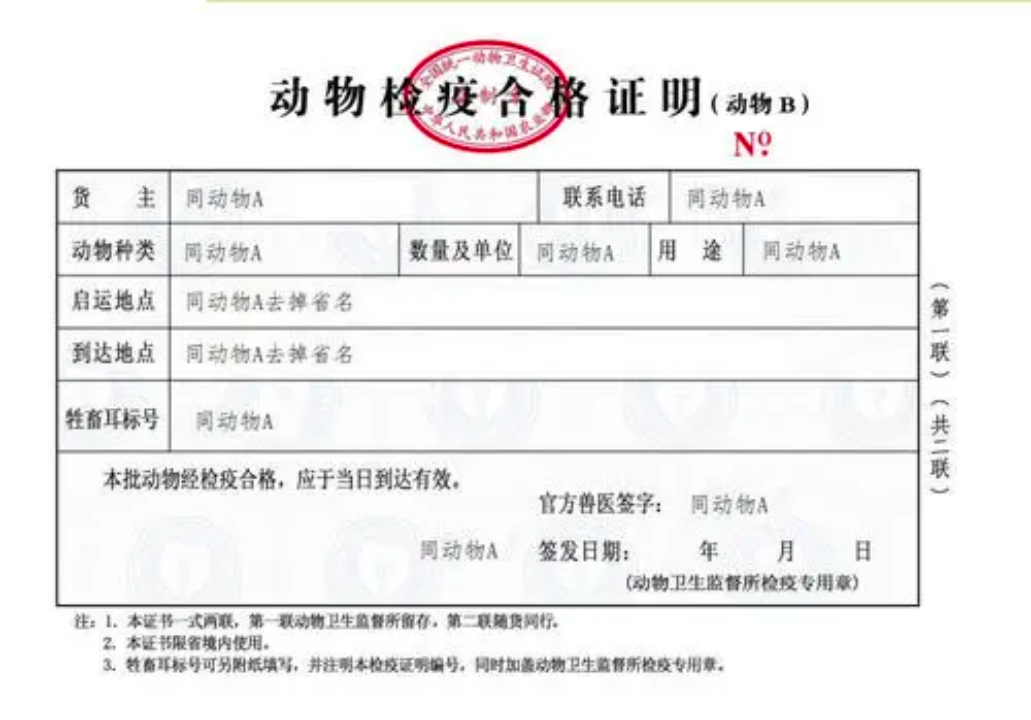 猫咪到免疫证登记所在区的动物防疫监督所办理(需要注意的是《检疫