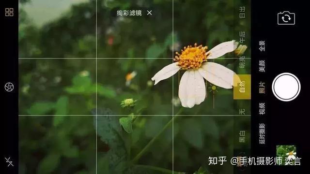 【提升篇一】小白如何学习手机摄影? - 知乎