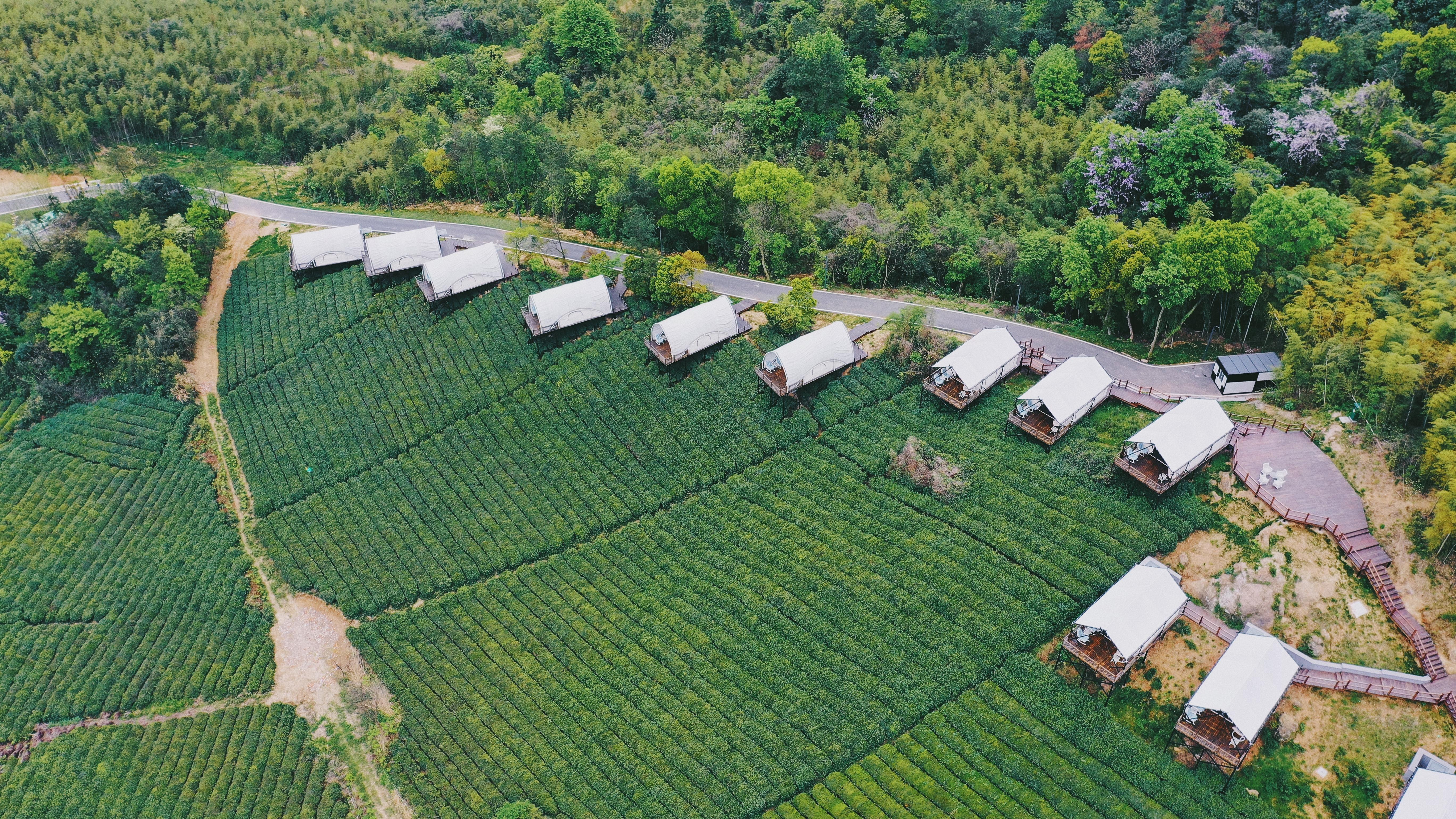 高端有b格的团建营地有哪些?莫干山上渚山奇幻谷团建营一站式解锁!