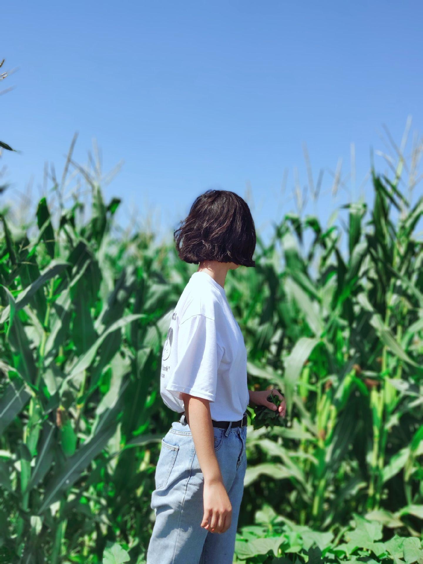 女生剪了短发是什么感觉