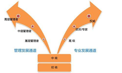 什么是员工职业发展