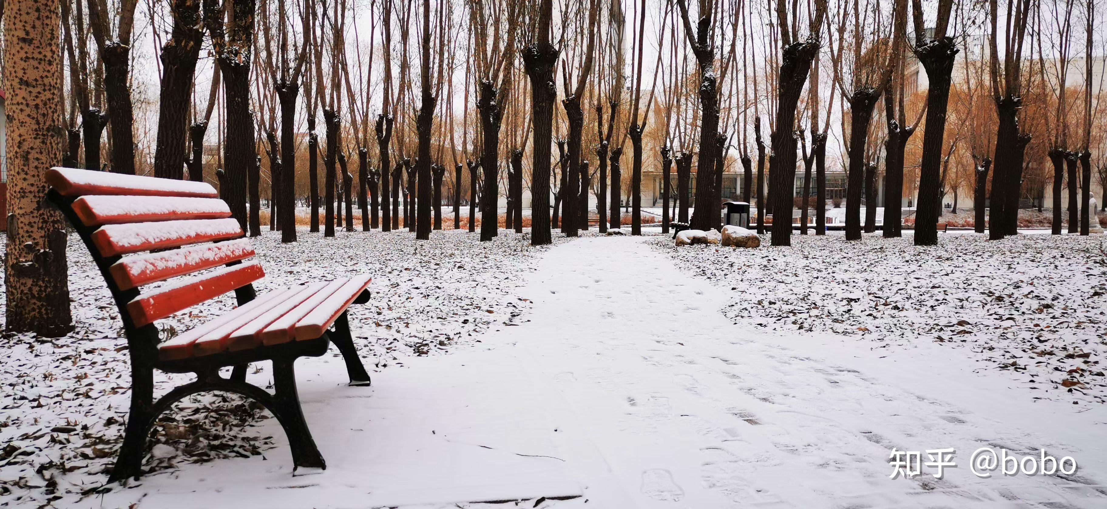 2021年冬天你拍得最美的雪景照片是怎樣的