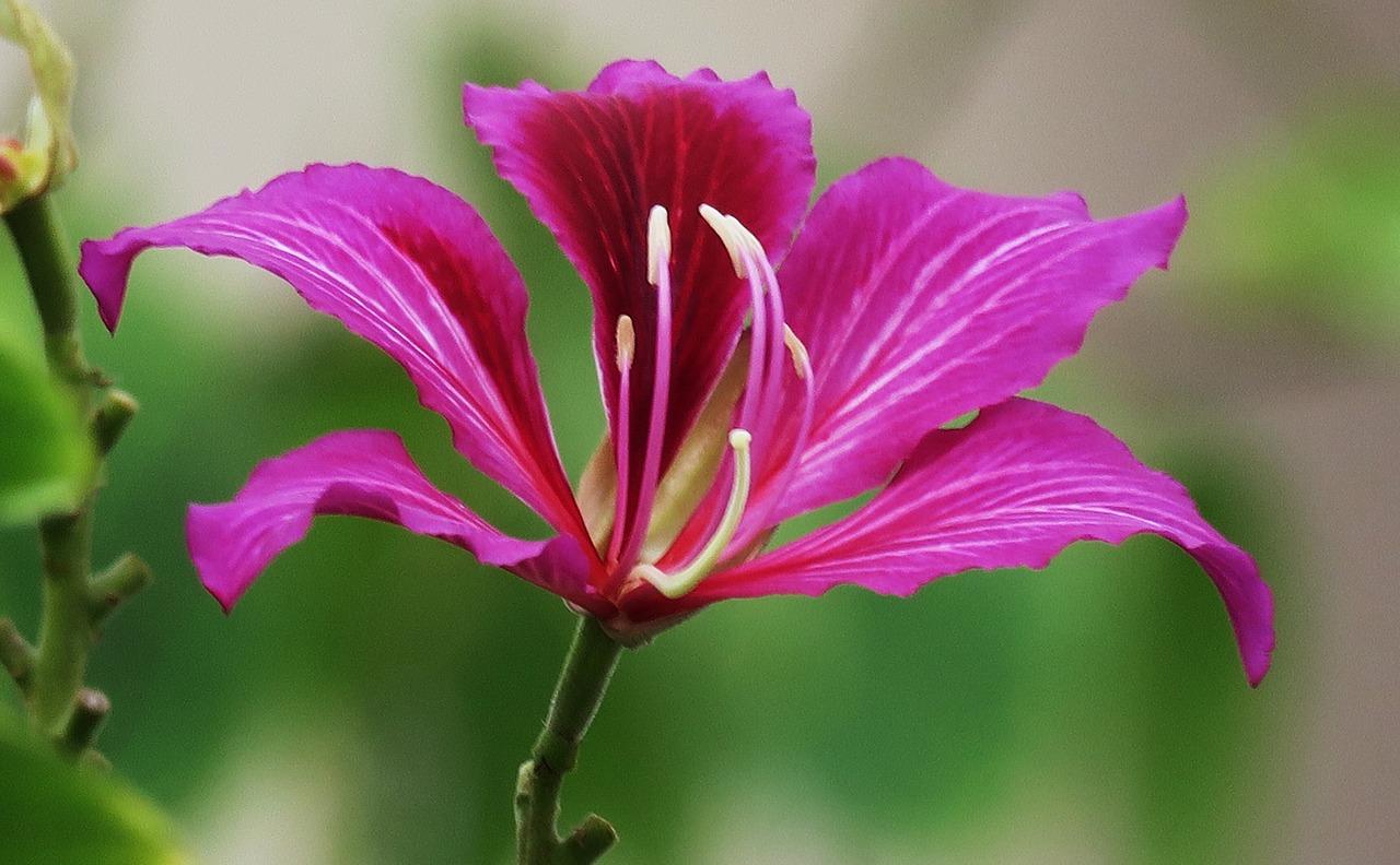 3. 绿化环绕社区