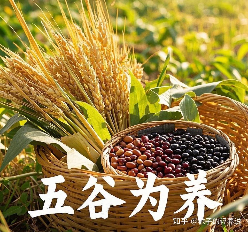 《黄帝内经》的养生密码:每天吃对五谷,年轻10岁不是梦! - 知乎