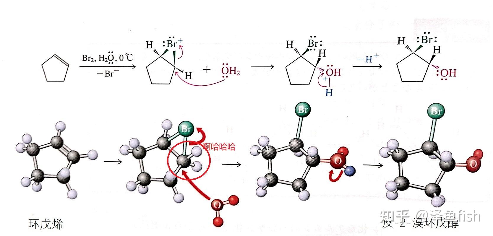 比如:离去的溴离子再发挥亲核试剂的作用,从三元环溴鎓离子的反面进攻