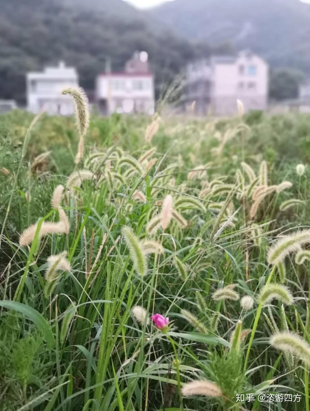 宁波象山石浦中篇大海大海