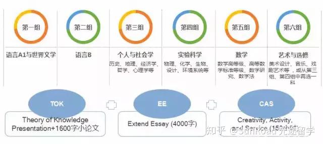IB全球大考成绩公布!满分牛娃刷屏背后,IB的含金量被高估了吗? - 知乎