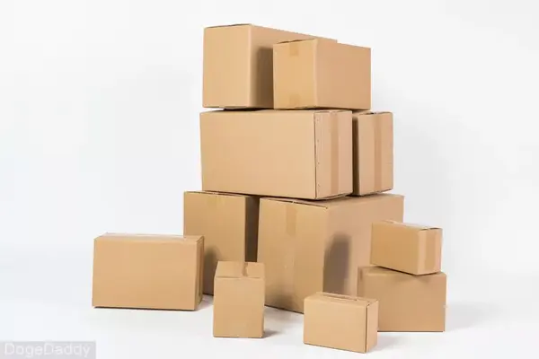 狗狗天生爱撕纸?购物狂欢之后,别把快递纸箱丢了