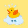 北美小考鸭