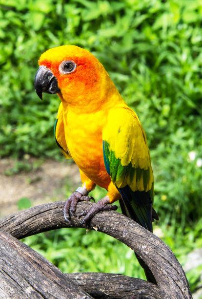 v2-78ac1af42ed405ced1c4064d53fdbaf9_1440w.jpg?source=172ae18b