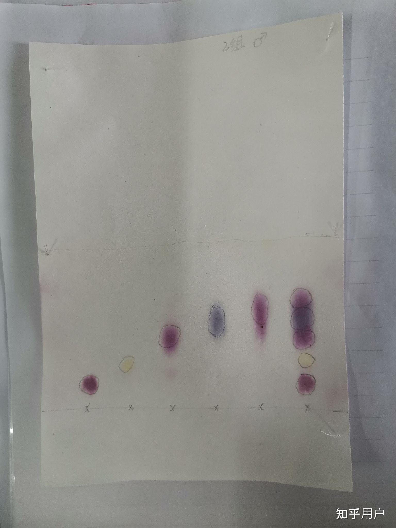 纸层析法分离鉴定氨基酸出现这种现象的原因是什么呢? - 知乎