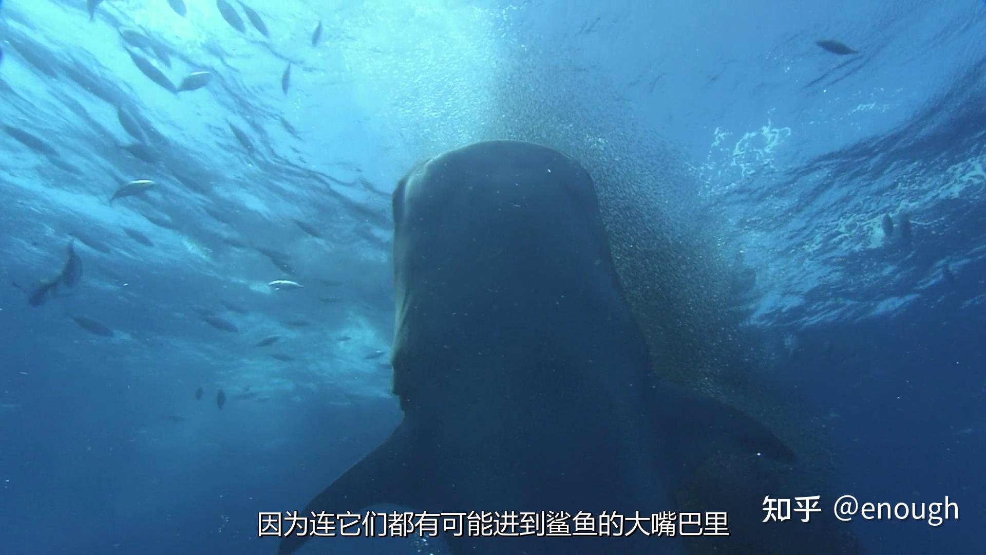 有什么经典的电影电视剧推荐最好是国内的纪录片也可以