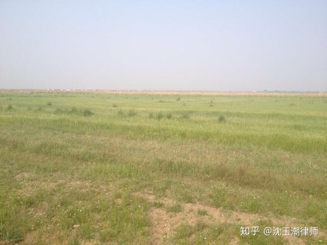 v2-78bdafdb844889c92bd91cba46db8624_r.jpg