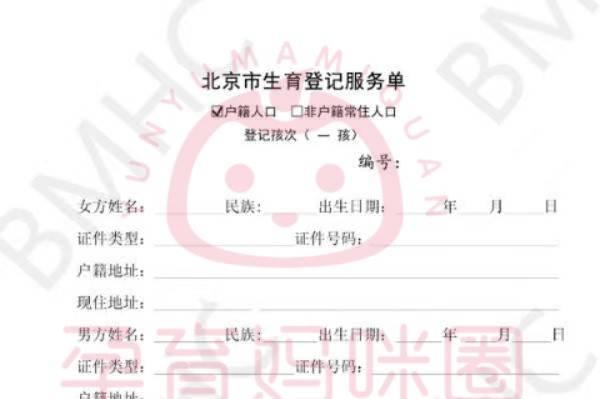 北京市生育登记服务单