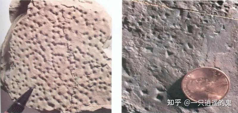 【构造地质学-学习记录】第二章 沉积岩层和岩浆岩的原生构造及其产状 - 知乎