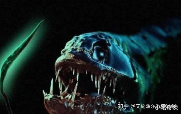 海底一万米到底有多 恐怖 在00米的深度已经没有鱼类生存 知乎