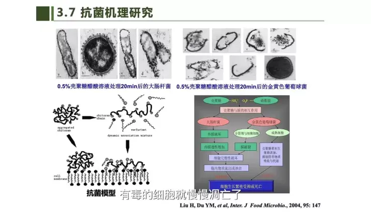 《甲壳素/壳聚糖在生物医用材料中应用》中提到,0