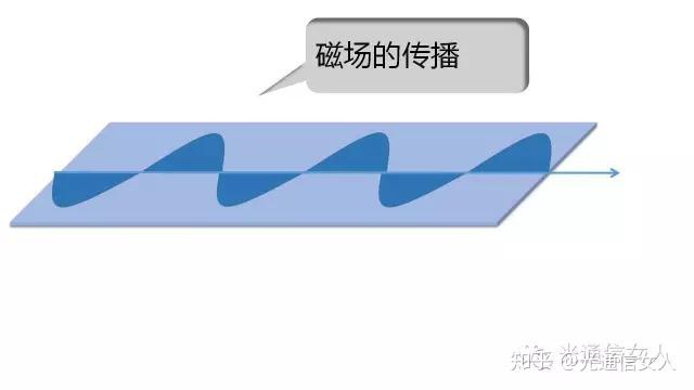 Y2T47 区分o光e光、s光p光、TE模TM模 - 知乎