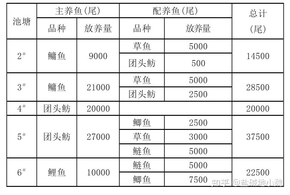 鱼虫怎么养图片