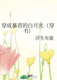 图标
