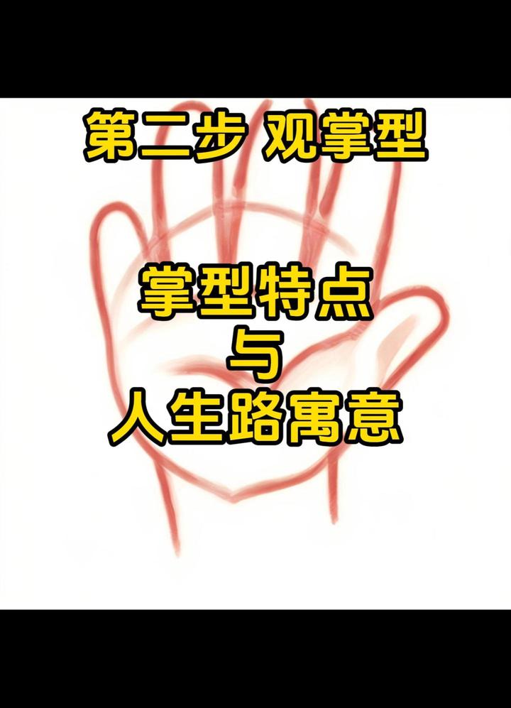 第二步,观掌型 - 知乎