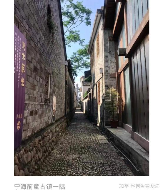 五月的宁海迎来文化盛宴著名书画篆刻家童衍方艺术馆新馆开馆