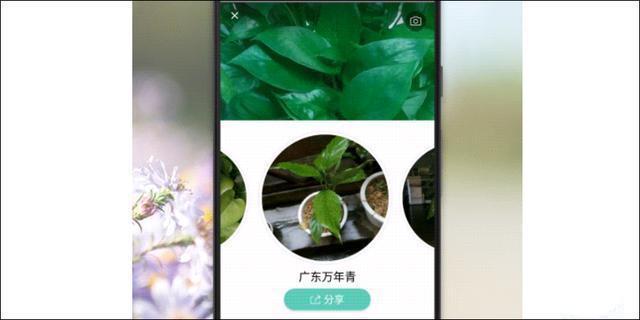 形色:進入植物世界