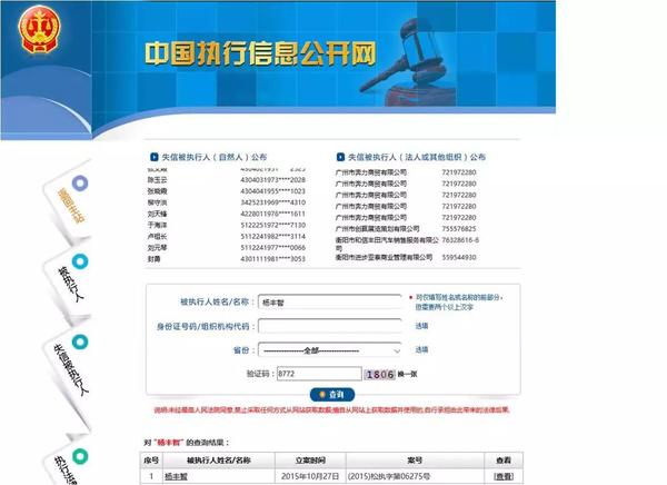 这是一张来自中国执行信息公开网的查询页面截图,其中图片下方被执行人