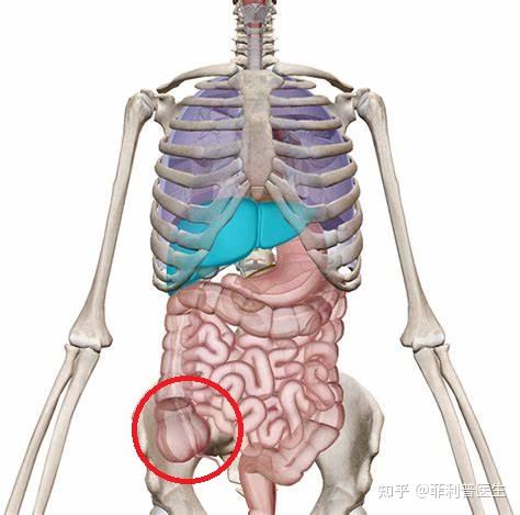 成都女子被丈夫多次家暴致肠破裂,公公回应「是家事」,女子该如何保障