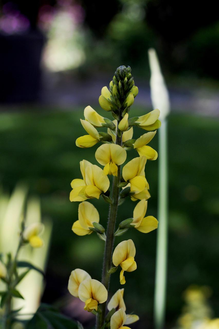 4. 优质教育资源