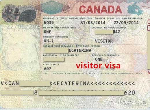 Visitor Record visitor-record