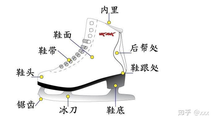 花滑冰刀多宽图片