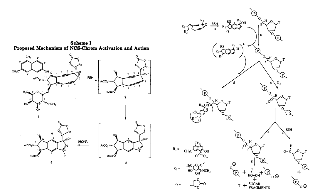 15.4 电环化反应electrocyclic reactions