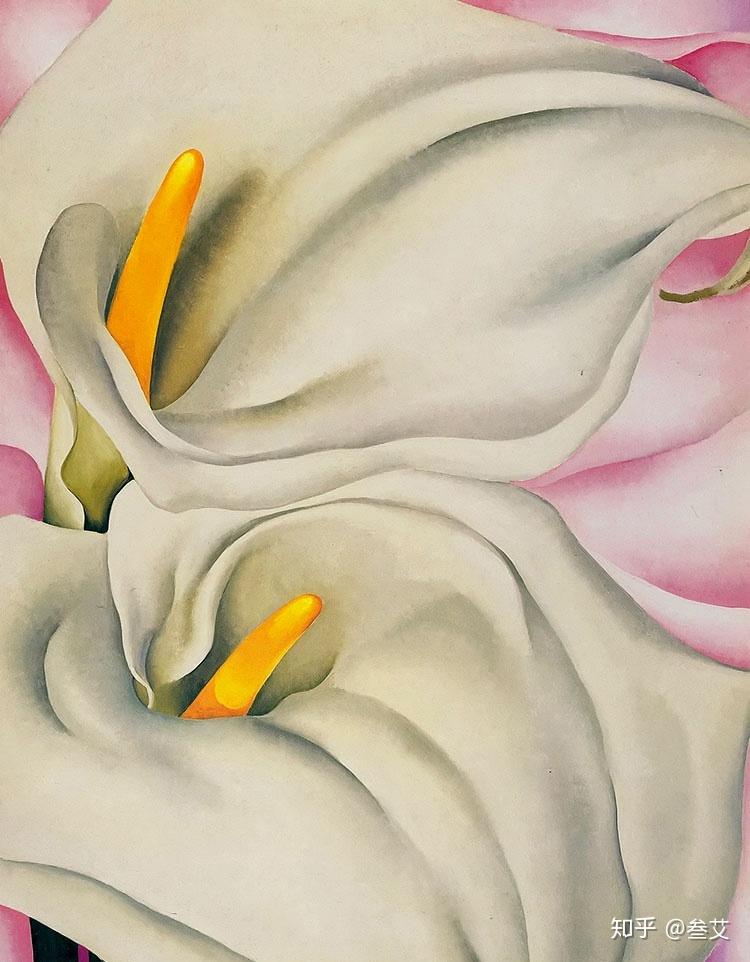 乔治娅·奥·吉弗 | 一朵开在芸芸众生中特立独行的花