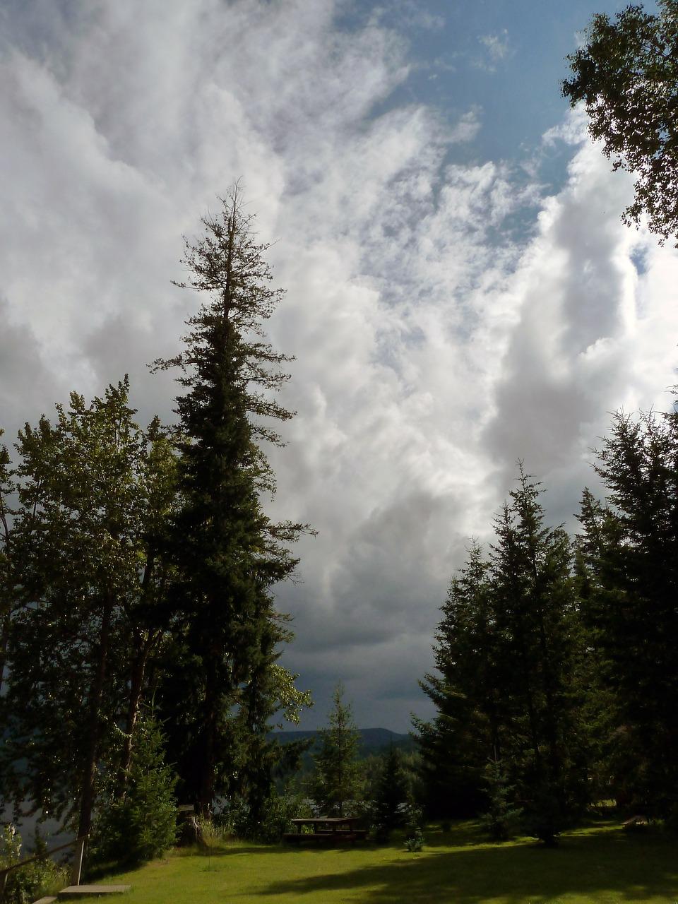 盘古大观停车优惠信息