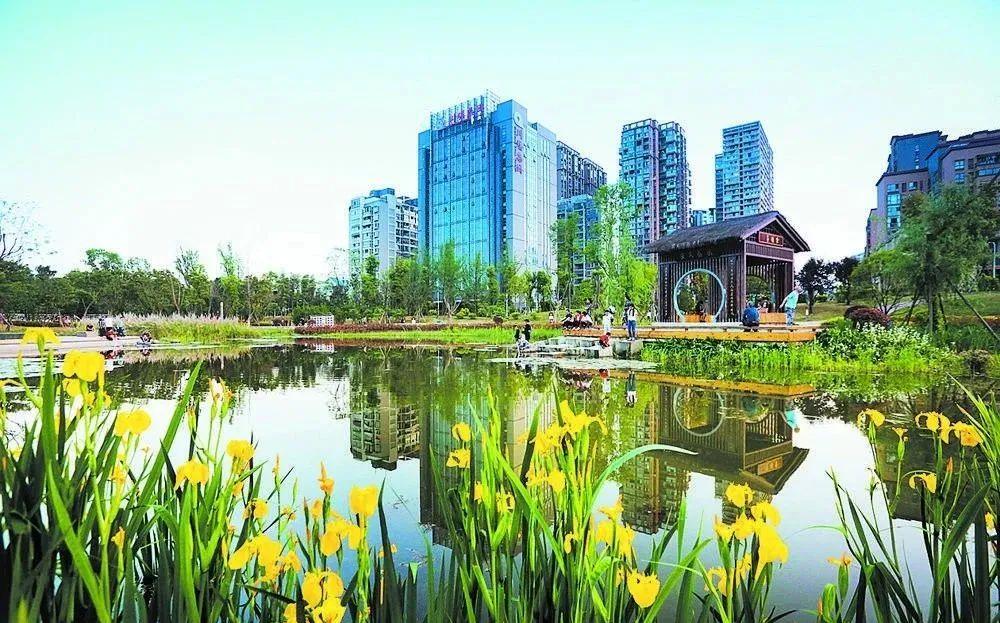 疫情结束后我想和你在青羊约会