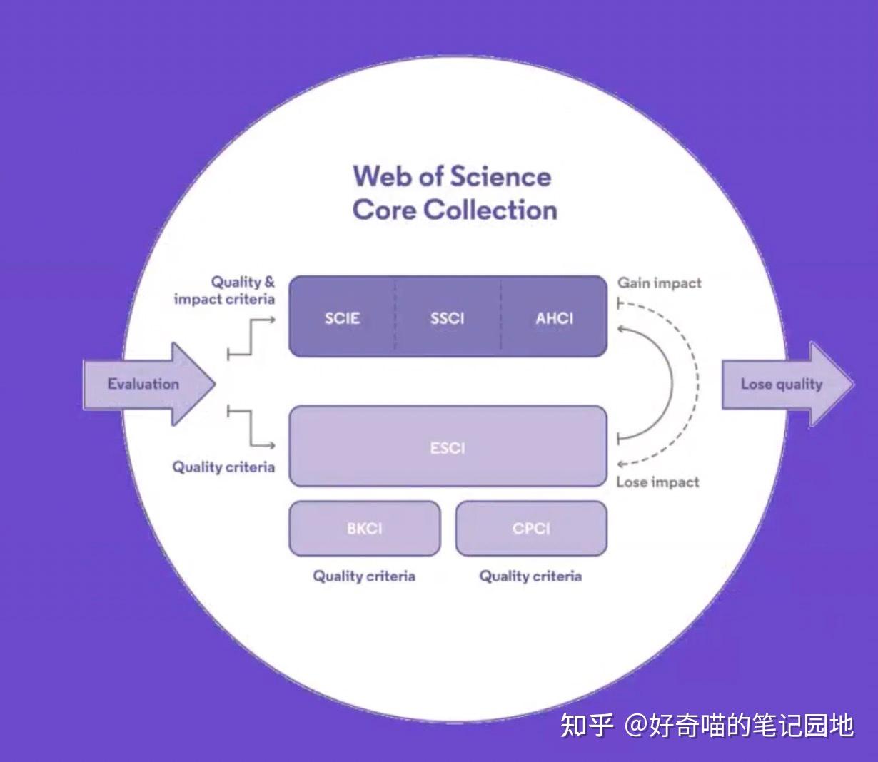 获取全面的竞彩足球比分，让你掌握每一场比赛