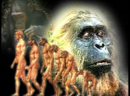 疯狂的人猿杂交实验共有5名女性参加结果发生意外