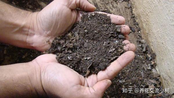 肥料 有哪些种类 它对植物有哪些作用 磷酸钙肥料对植物作用 二安网
