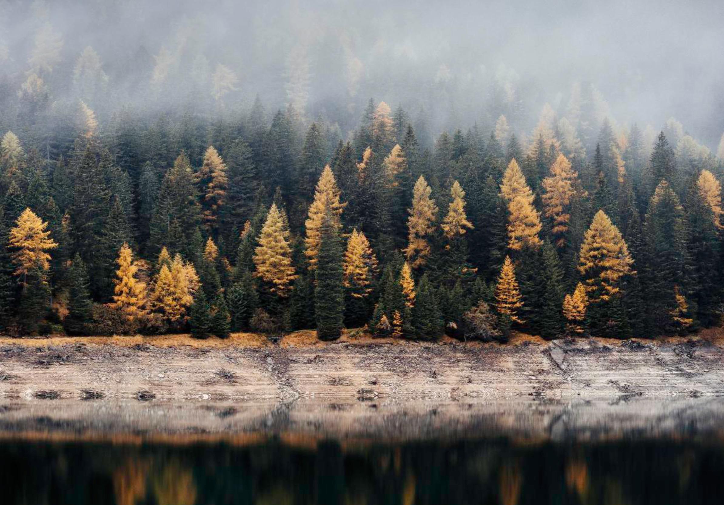 有没有在ipad pro11寸上很震撼的超高清壁纸?